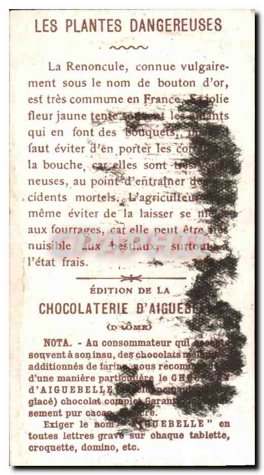 Chromo Chocolat D'Aiguebelle La Renoncule — Back