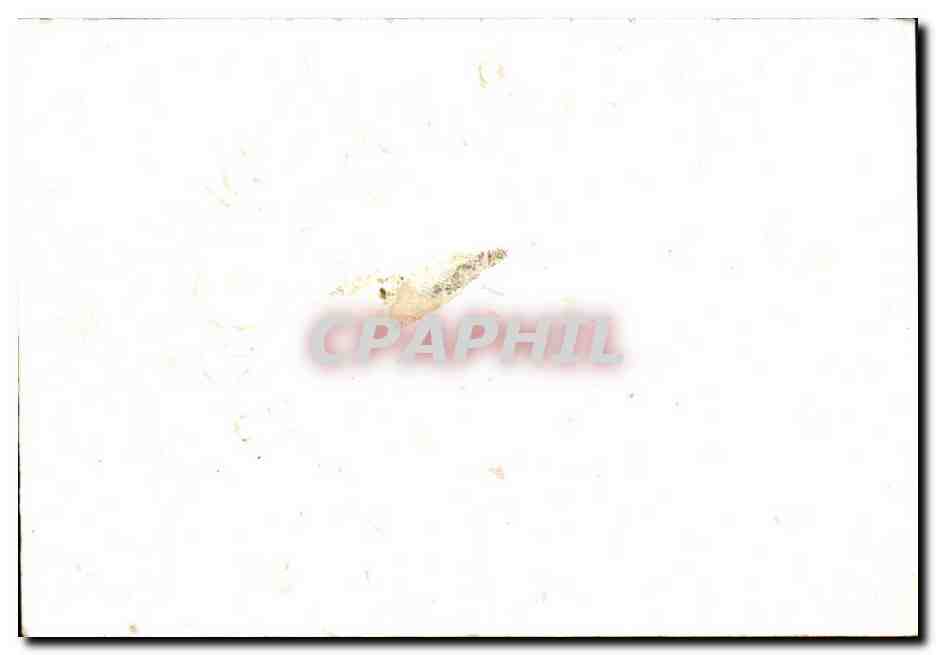 Image Chocolat Besnier Le Mans Roses — Verso