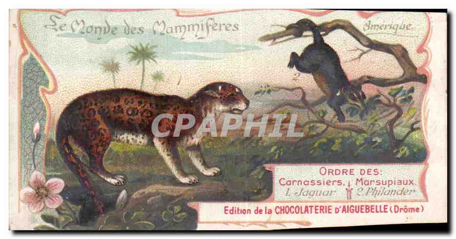 Chromo Le Monde des Mammiferes Ordre des Carnassiers Primates Chocolaterie d'Aiguebelle Drome