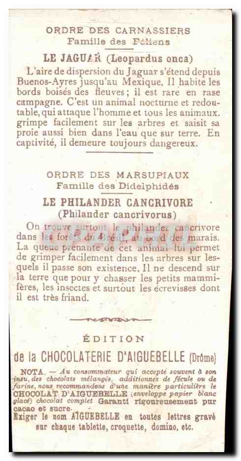 Chromo Le Monde des Mammiferes Ordre des Carnassiers Primates Chocolaterie d'Aiguebelle Drome — Verso