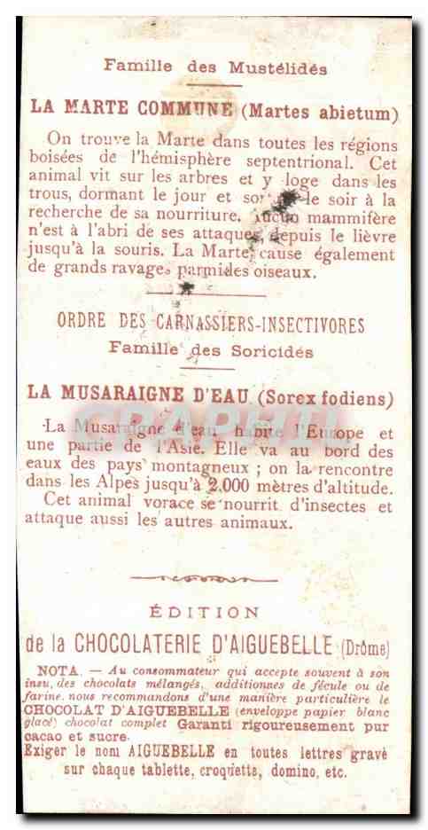 Chromo Le Monde des Mammiferes Ordre des Ruminants Carnassiers Mangue Chocolaterie d'Aiguebelle Drome — Rückseite