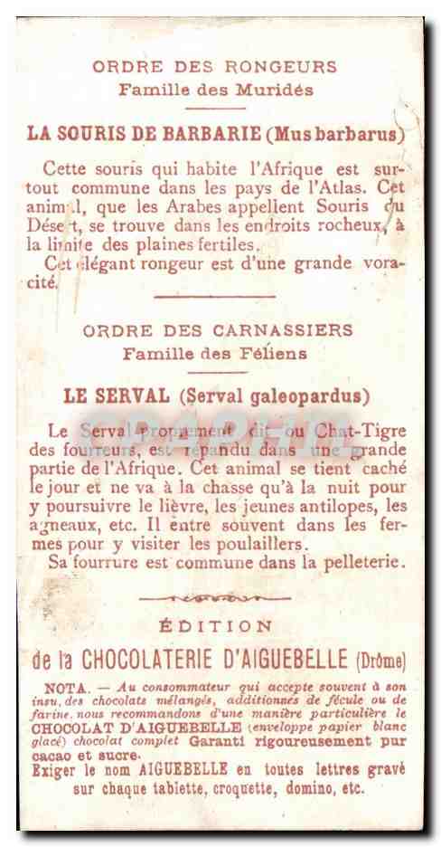 Chromo Le Monde des Mammiferes Ordre des Ruminants Carnassiers Mangue Chocolaterie d'Aiguebille Drome — Verso