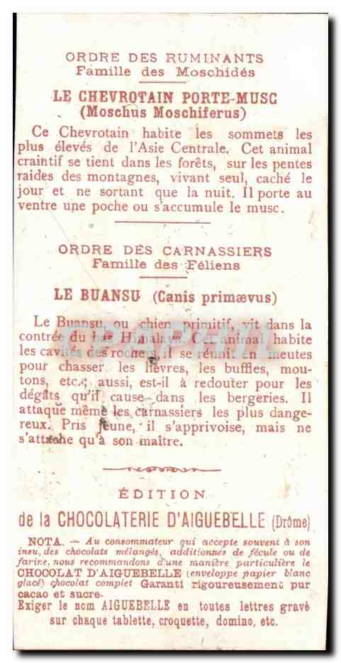 Chromo Le Monde des Mammiferes Ordre des Ruminants Carnassiers Mangue Chocolaterie d'Aiguebille Drome — Verso