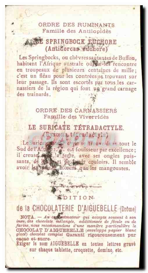 Chromo Le Monde des Mammiferes Ordre des Ruminants Carnassiers Mangue Chocolaterie d'Aiguebille Drome — Verso
