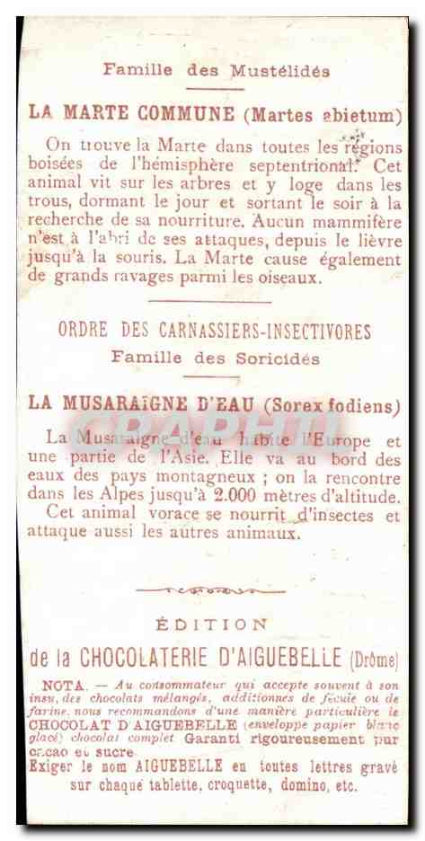 Chromo Le Monde des Mammiferes Ordre des Ruminants Carnassiers Mangue Chocolaterie d'Aiguebille Drome — Verso