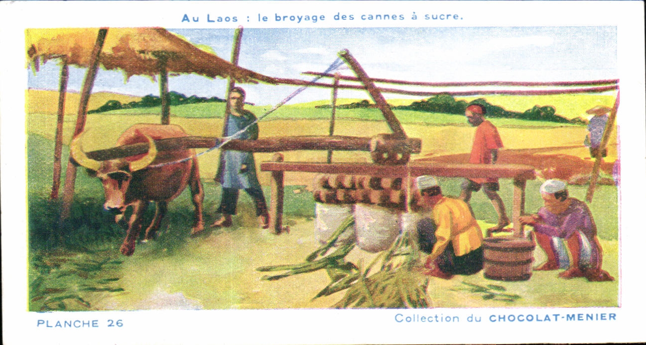 Image Au Laos le broyage des cannes a sucre Collection du Chocolat Menier planche