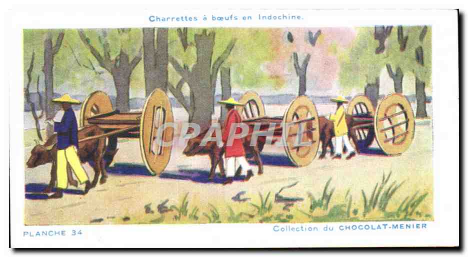 Image Charrettes a boeufs en indochine Collection du Chocolat Menier planche