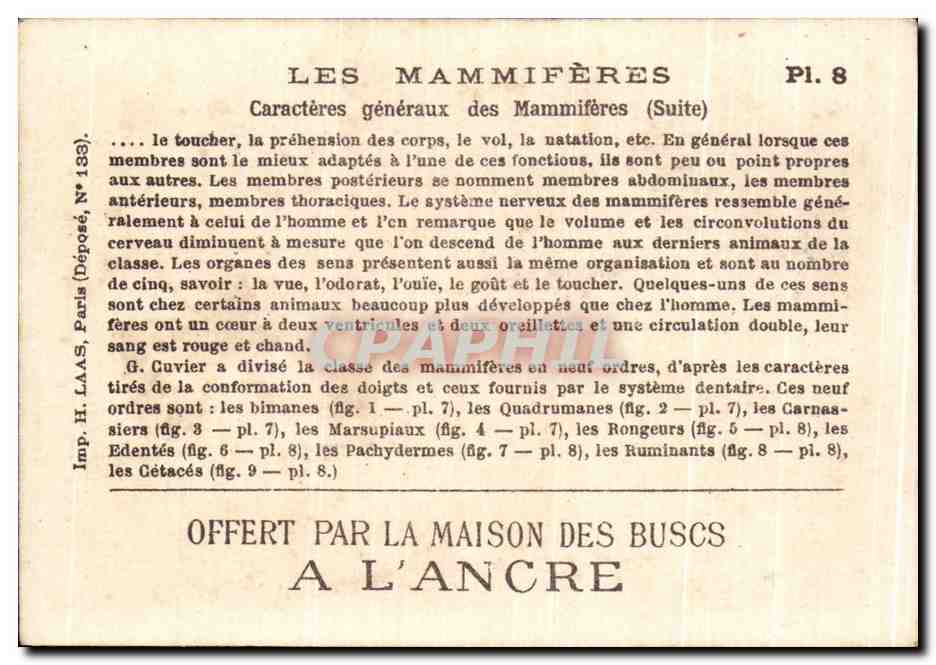 Chromo Les Mammiferes Caracteres generaux des Mammiferes Chevre Goat Ane Donkey Ecureuil — Verso