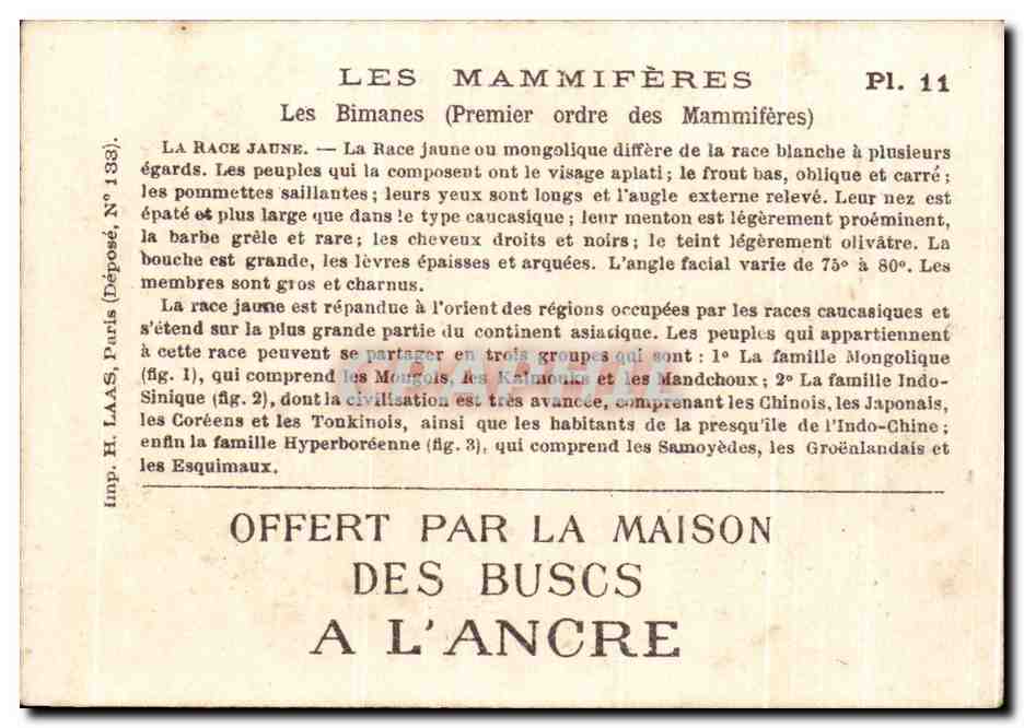Chromo Les Mammiferes Les Bimanes Mamiferes Chinois Chine China — Verso