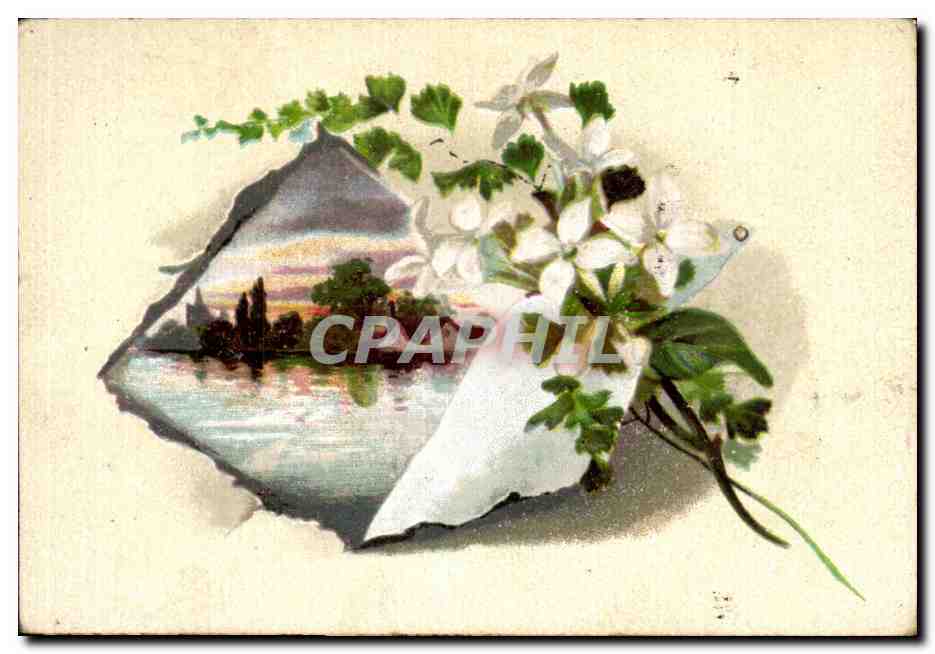 Image Fleurs naturelles 