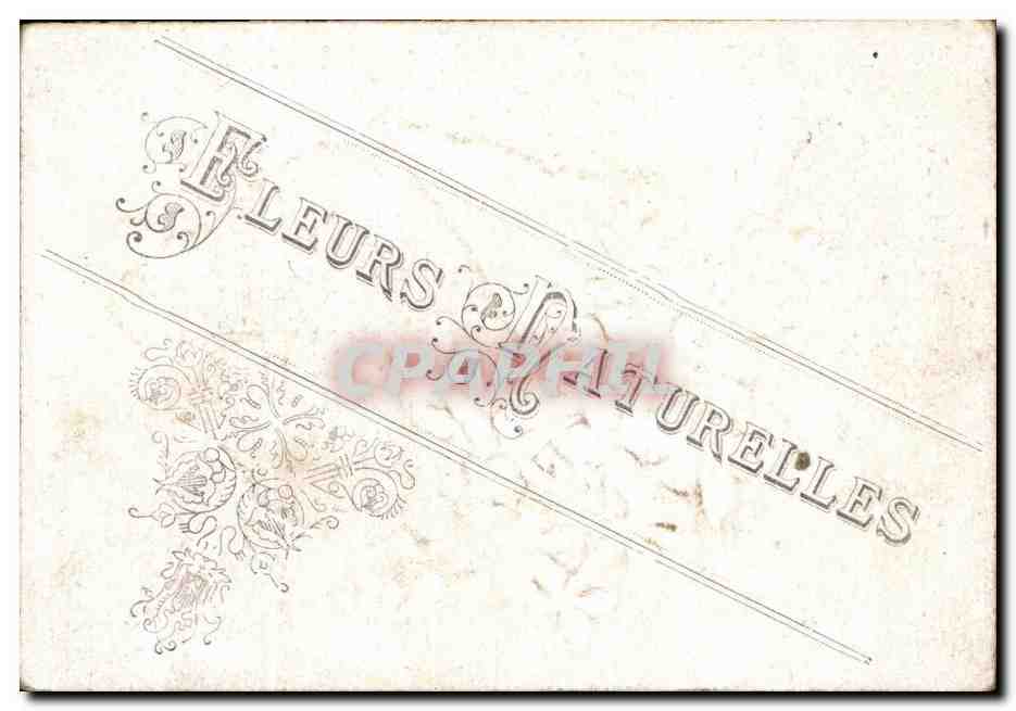 Image Fleurs naturelles  — Verso