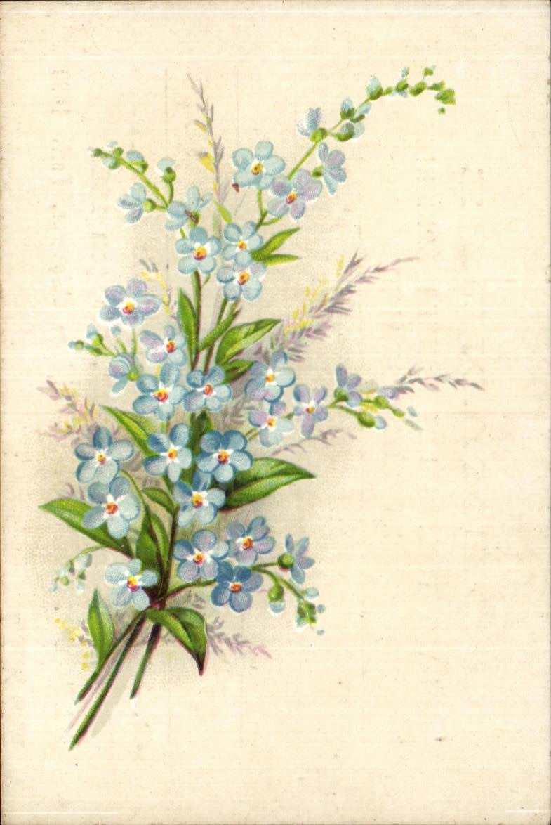 Image Chocolat Besnier Langlois Le Mans 