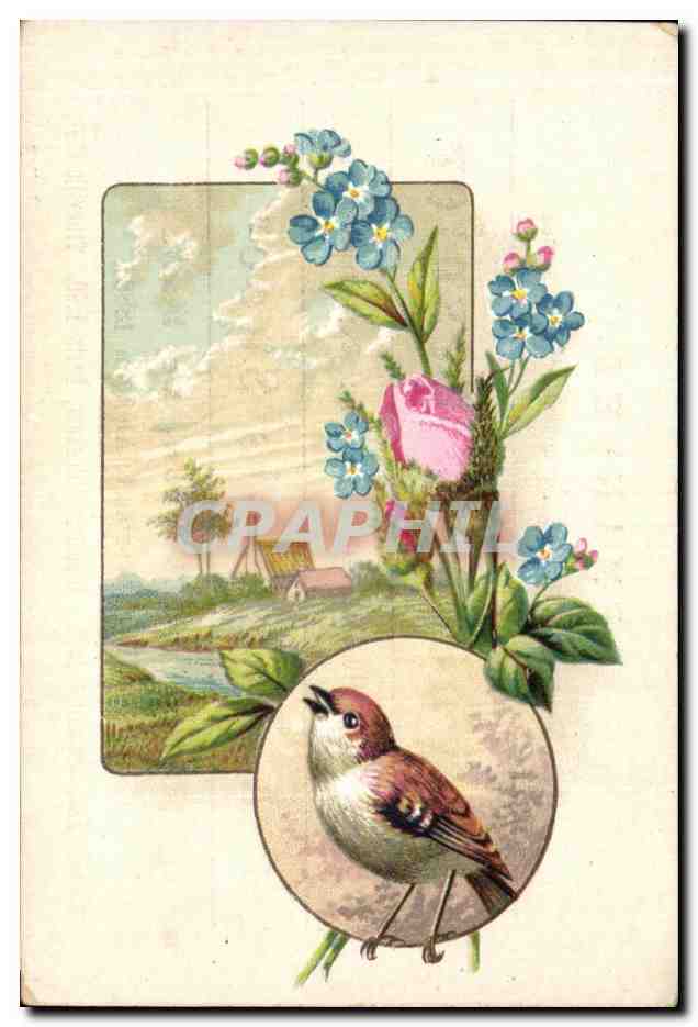 Image Chocolat Besnier Rue du Mouton Le Mans Oiseau