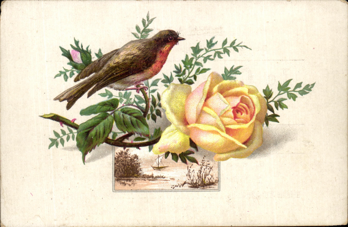Titre par défaut