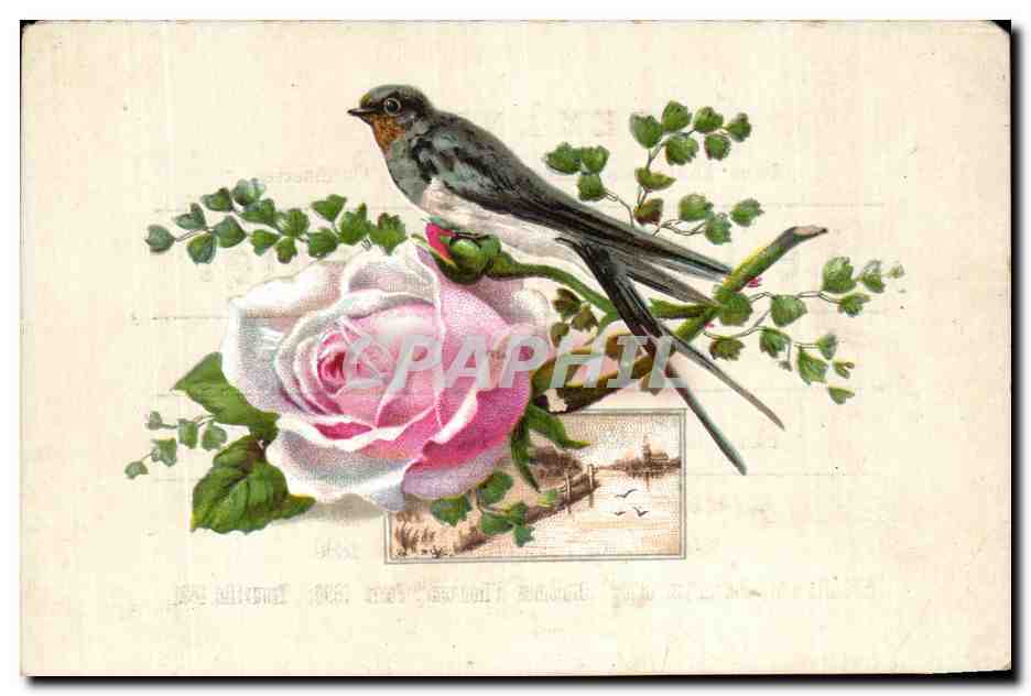 Image chocolat Besnier Fleurs Roses Oiseau 