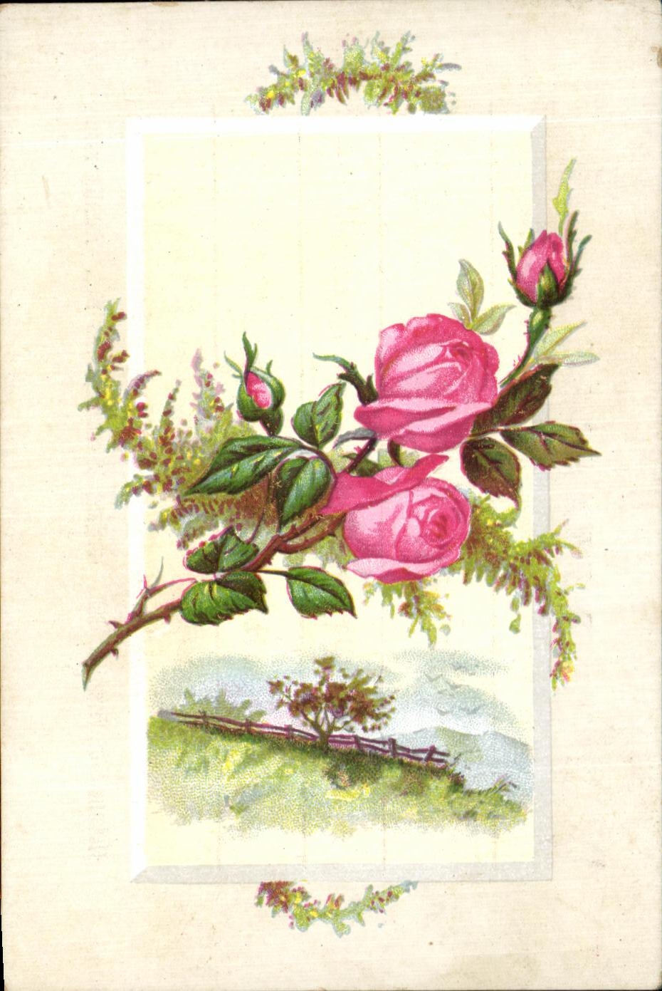 Image chocolat Besnier Fleurs Roses 