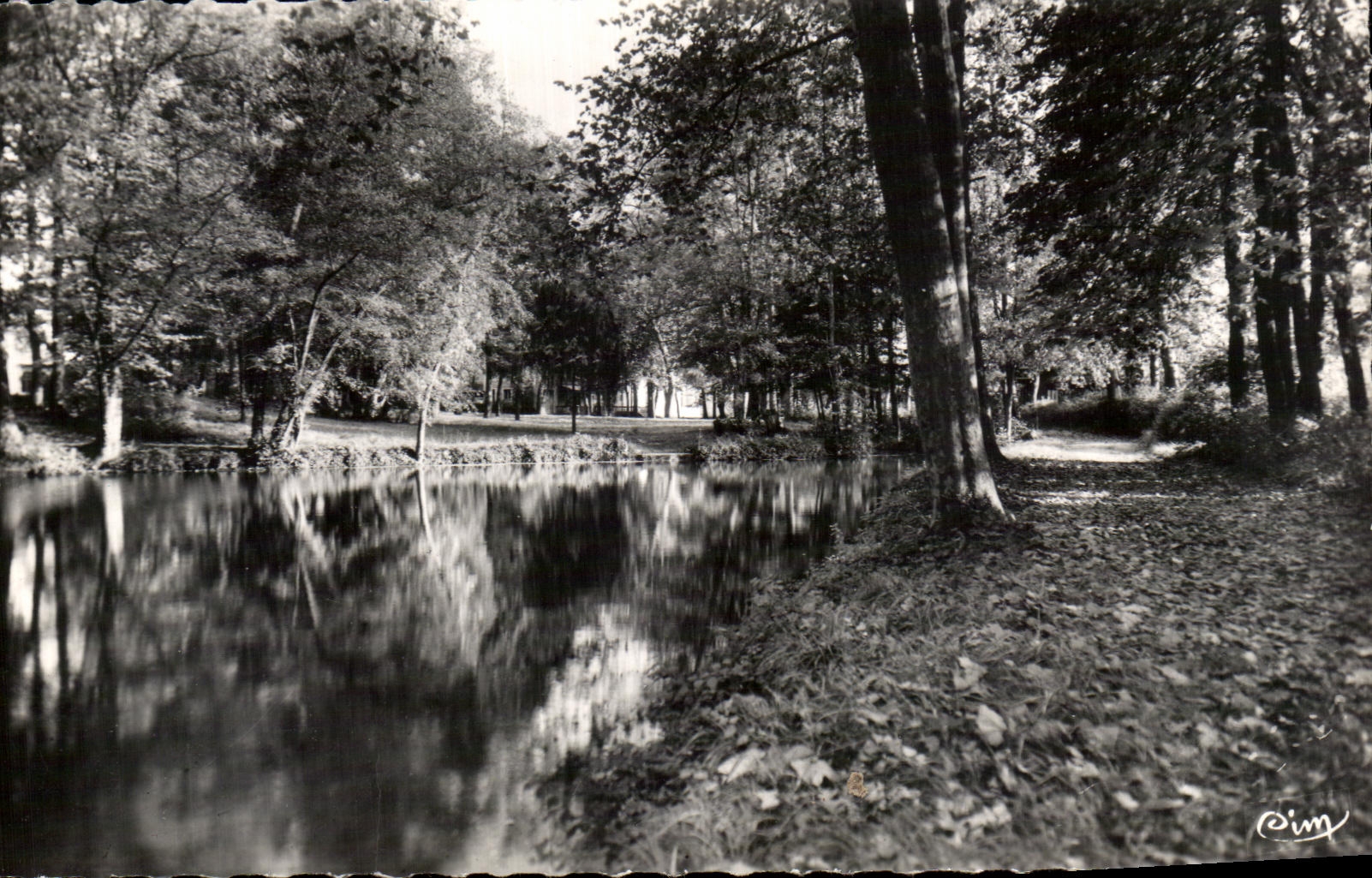 Pouguès-les-Eaux (Nièvre) — Un coin du parc - Le lac — Photographe RIM
