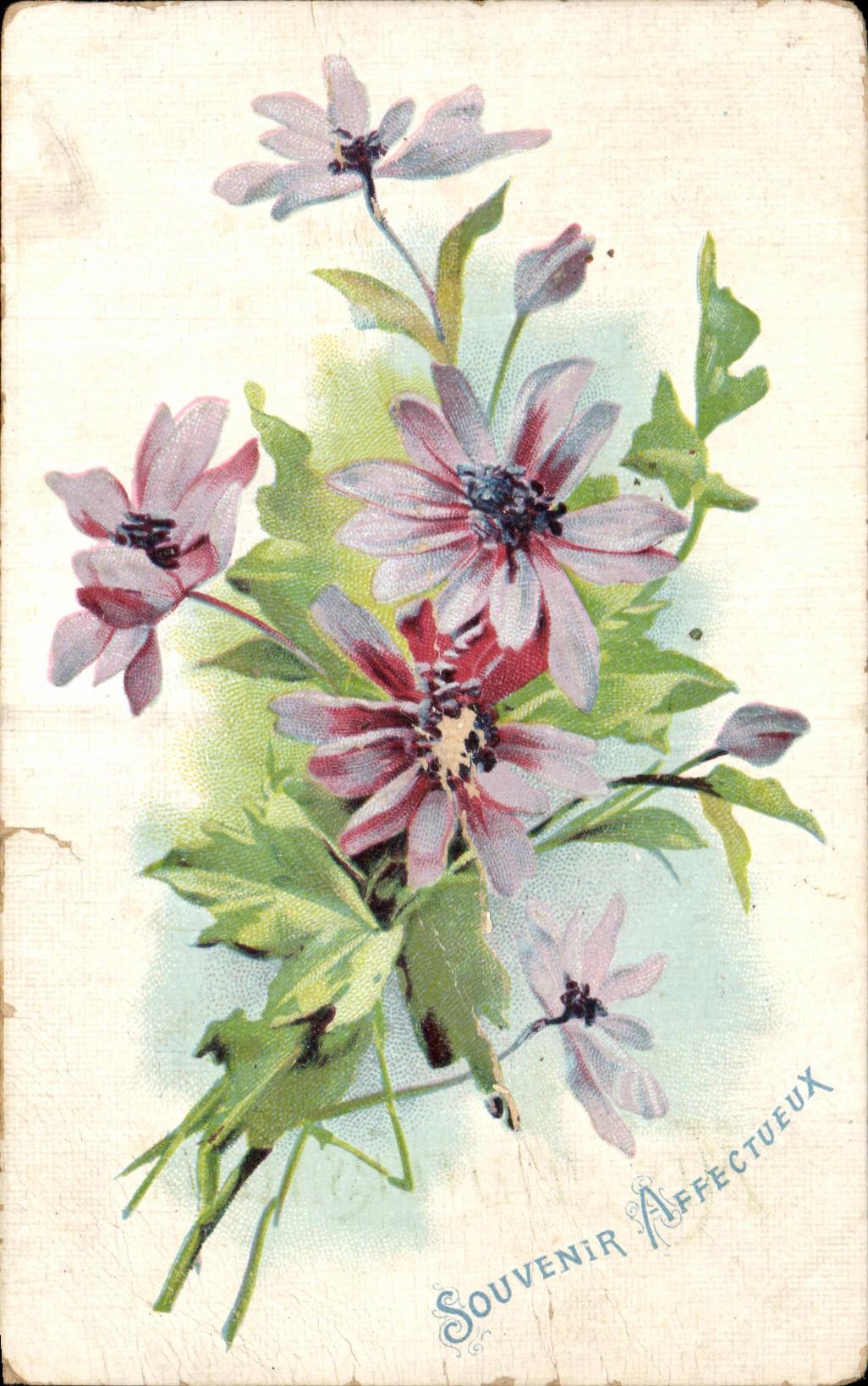 CPA Fantaisie Fleurs Souvenir Affectueux