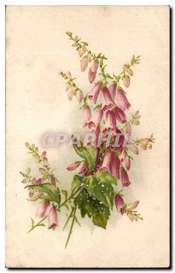 CPA Fantaisie Fleurs 