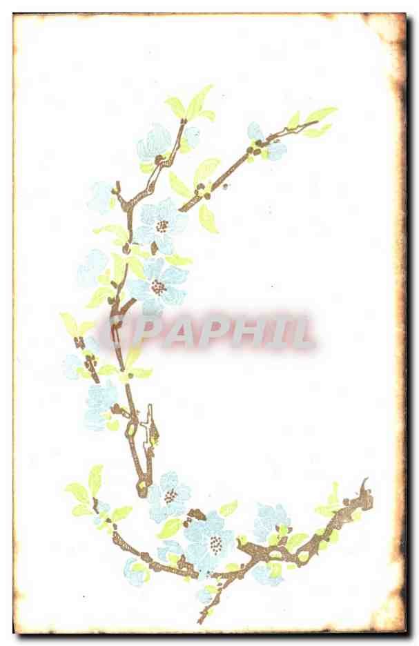 CPA Fantaisie Fleurs 