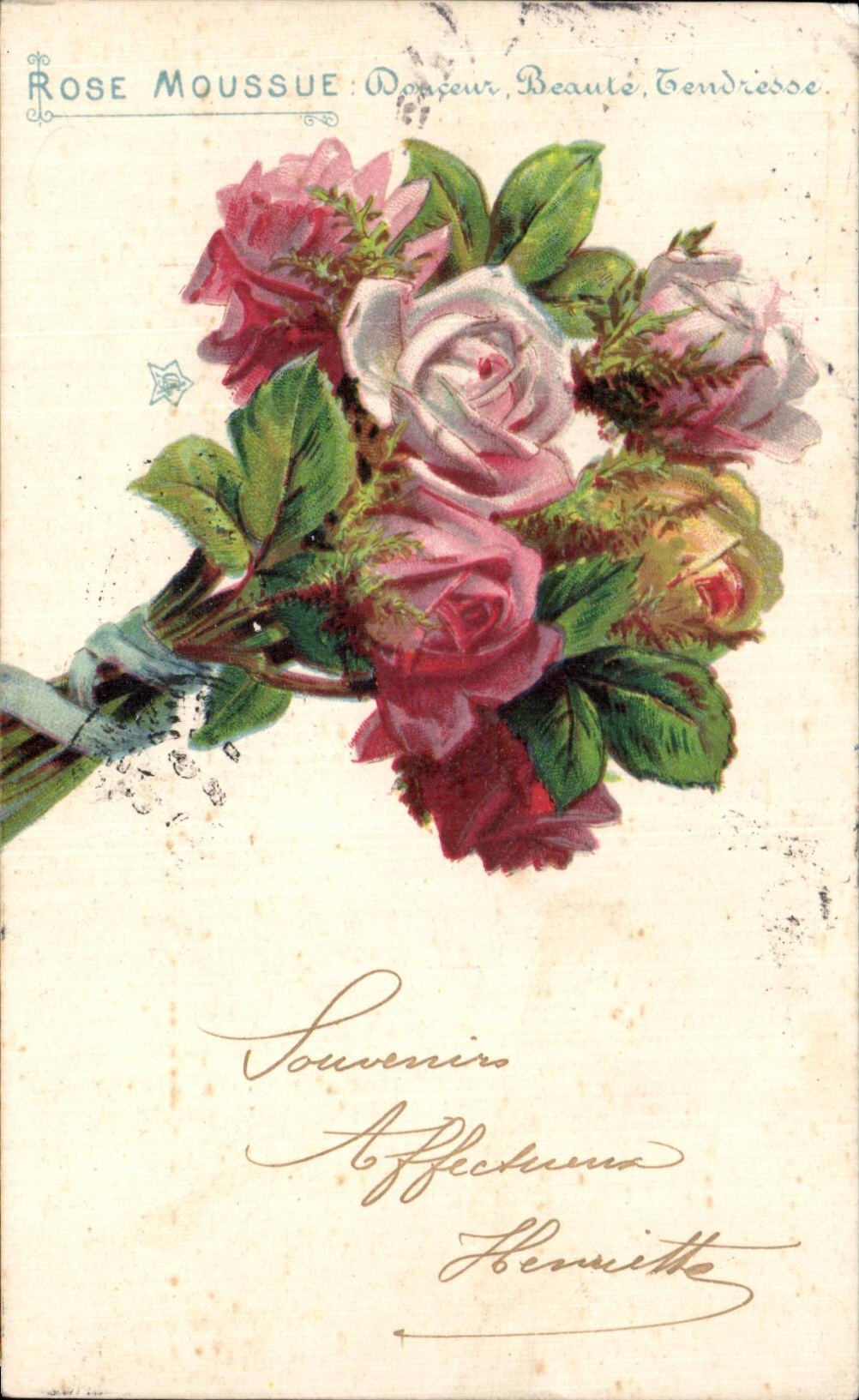 CPA Rose Moussue Fantaisie Fleurs 