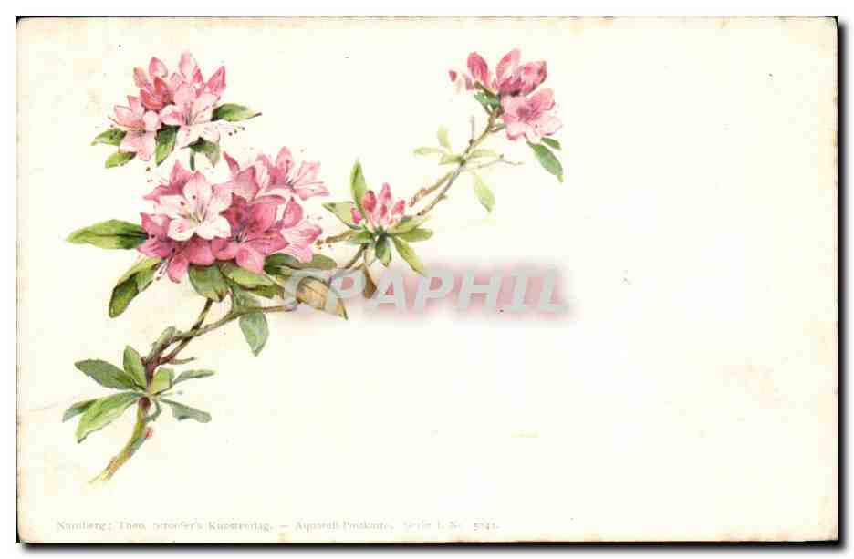 CPA Fantaisie Fleurs 
