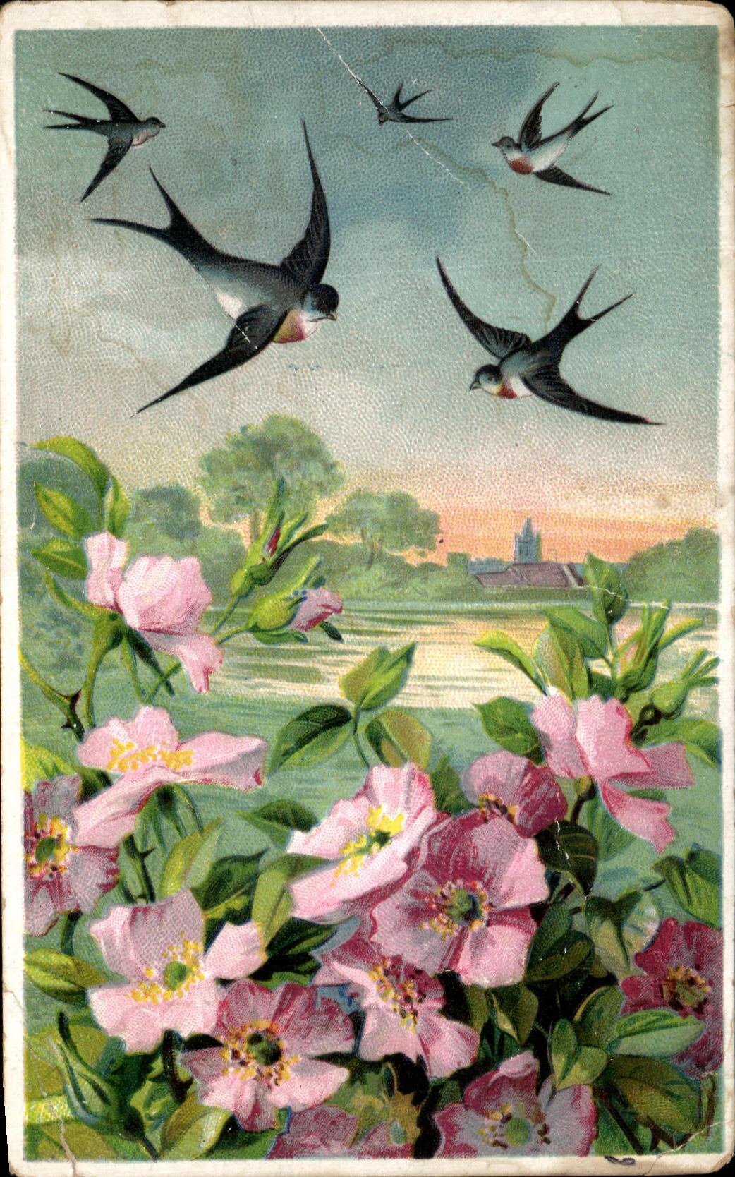 CPA Fantaisie Fleurs Hirondelles 