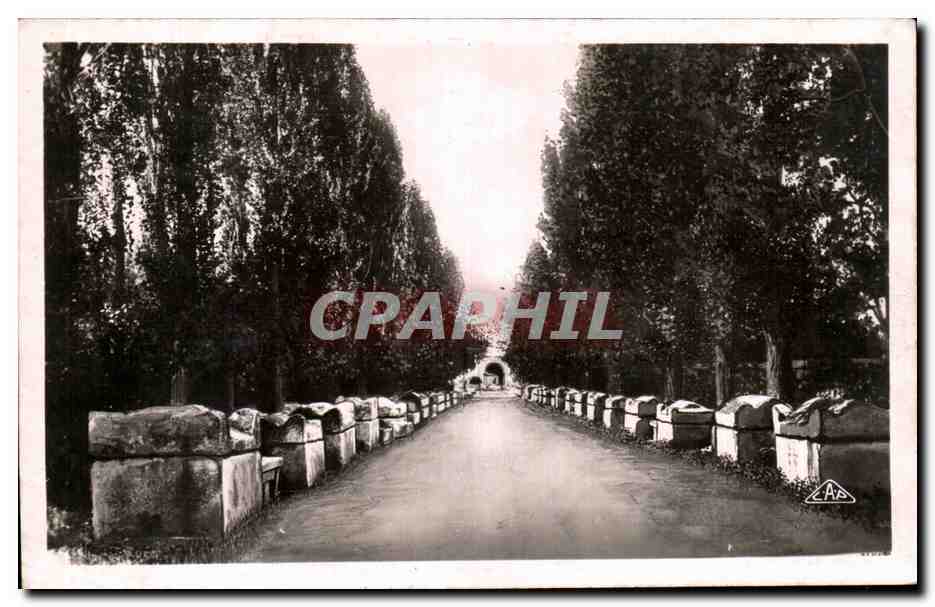 Les Aliscamps — Allée des Tombes — Arles — Verlag 'Reak-Photo'