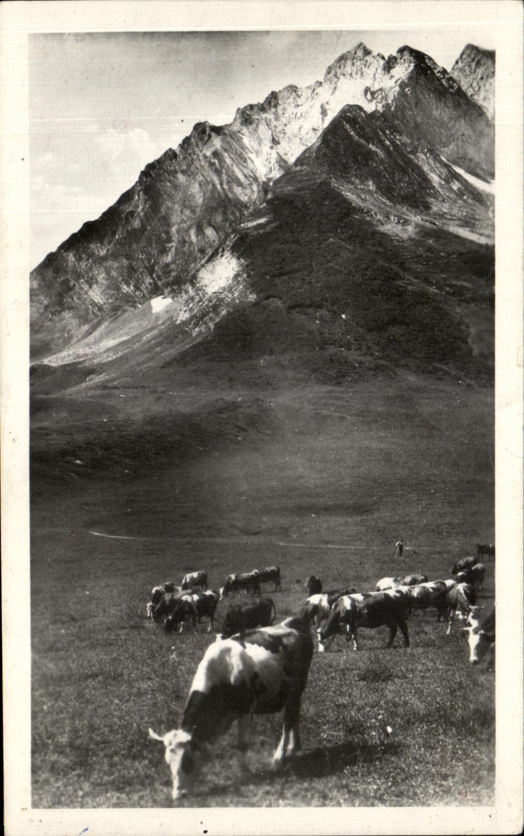 Col des Atravis — vaches dans un paysage alpin — éditeur inconnu, n° de série non visible