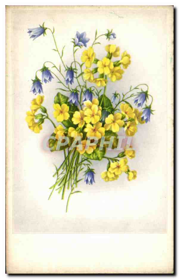 CPA Fantaisie Fleurs 