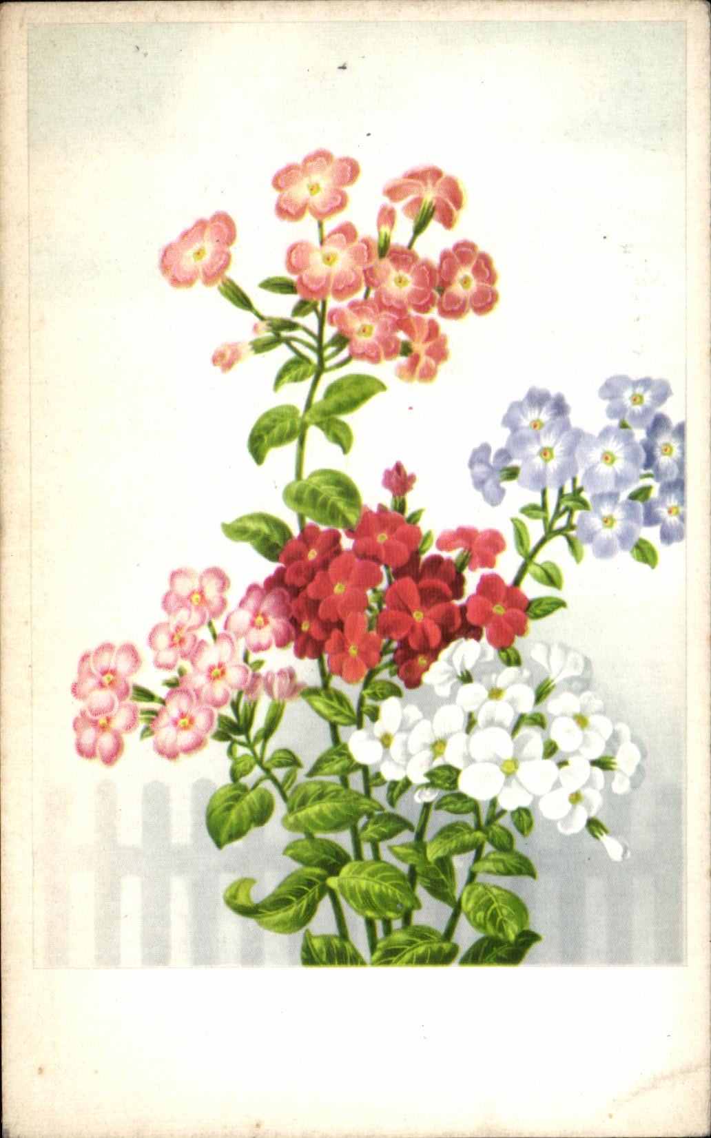CPA Fantaisie Fleurs 