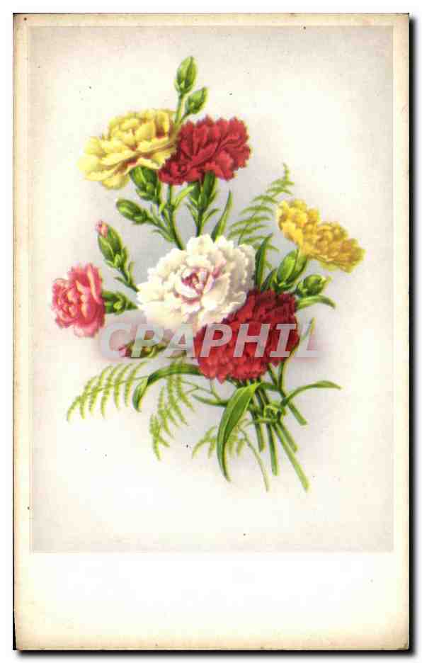 CPA Fantaisie Fleurs 