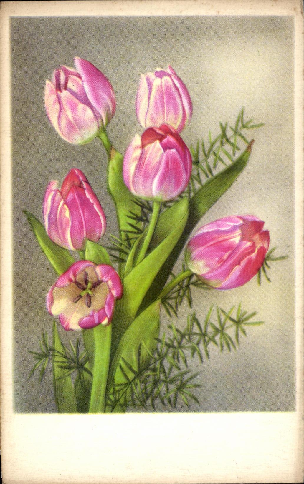 CPA Fantaisie Fleurs 