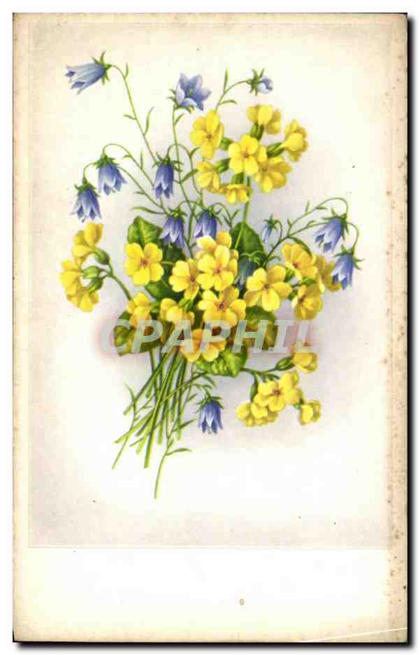 CPA Fantaisie Fleurs 