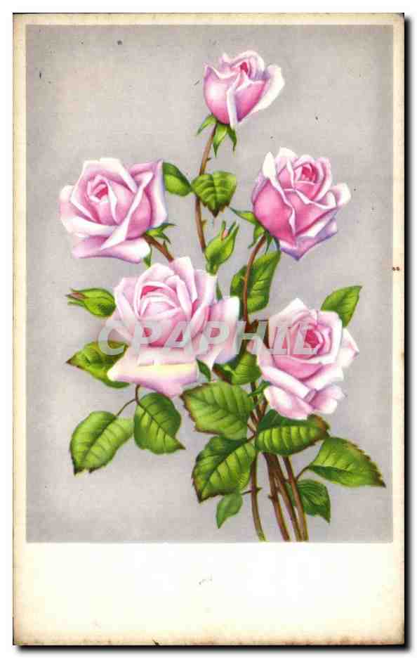 CPA Fantaisie Fleurs 