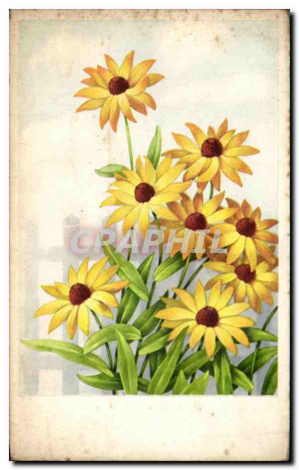 CPA Fantaisie Fleurs 