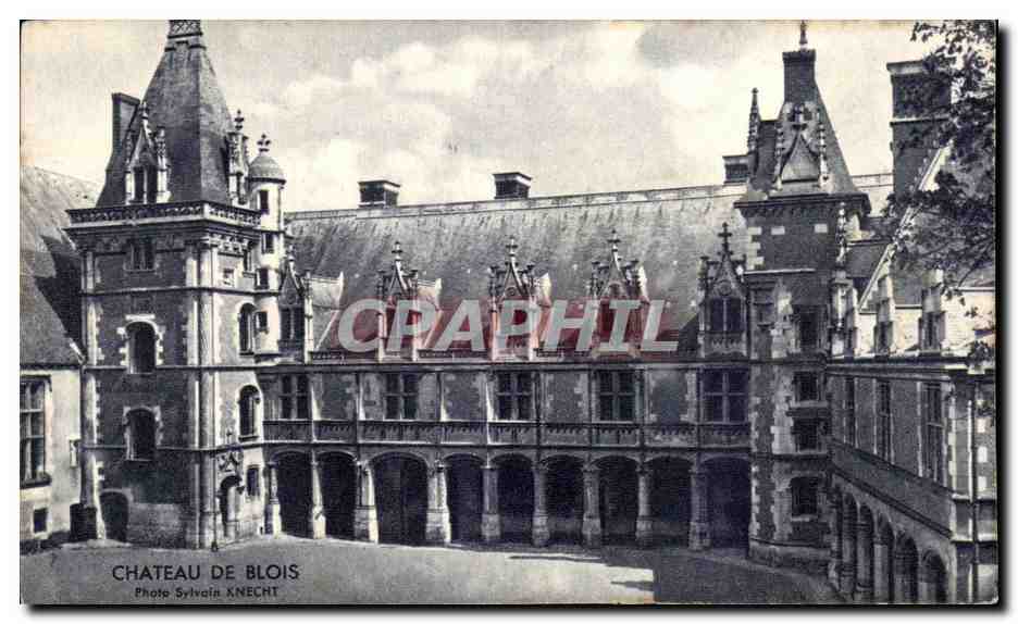 CPA Chateau De Blois