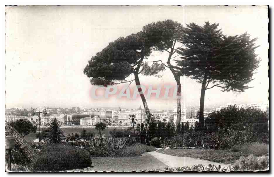 CPA Cannes Vue generale prise depuis les jardins Palm Beach
