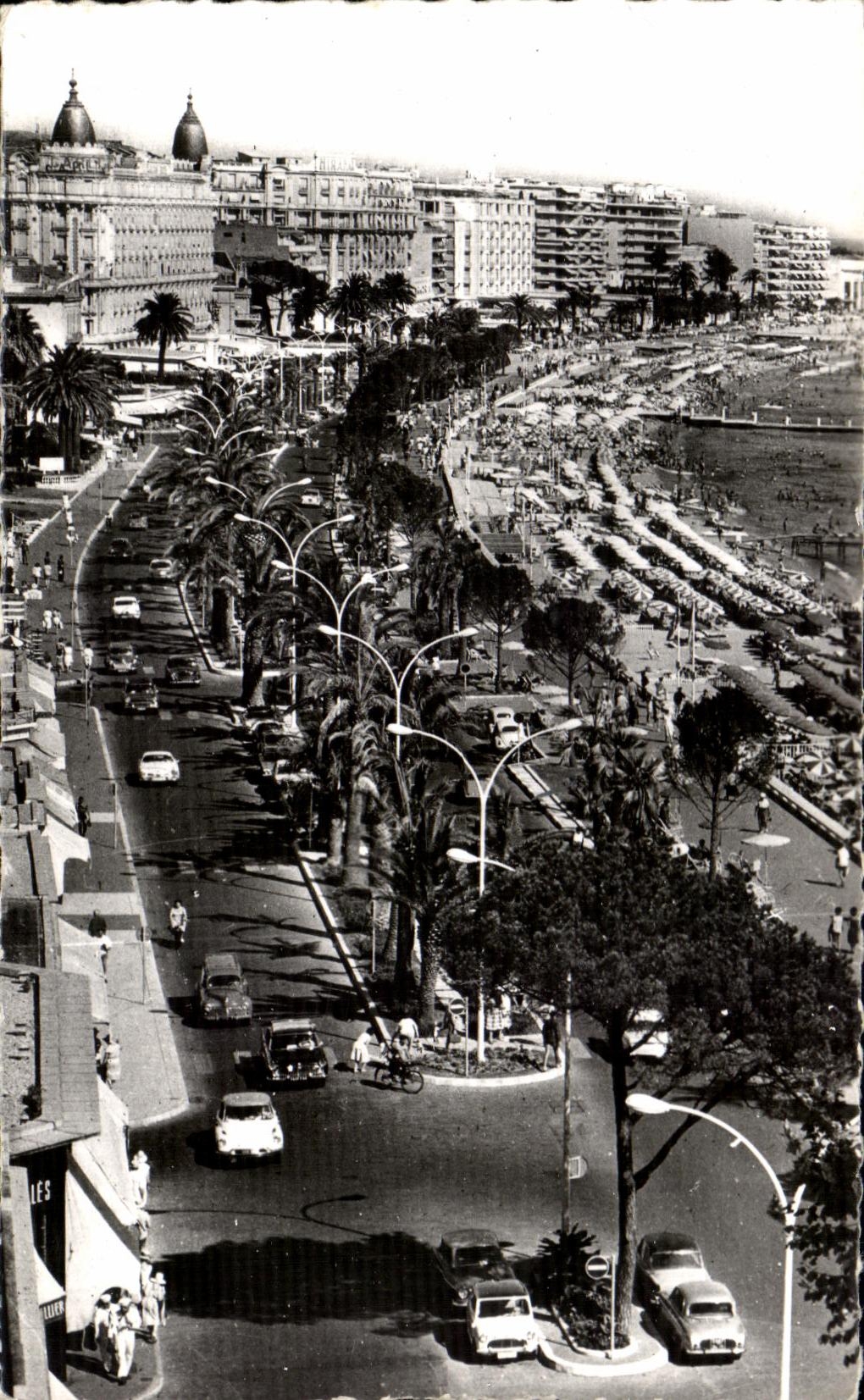 CPA La Cote Cannes La Croisette