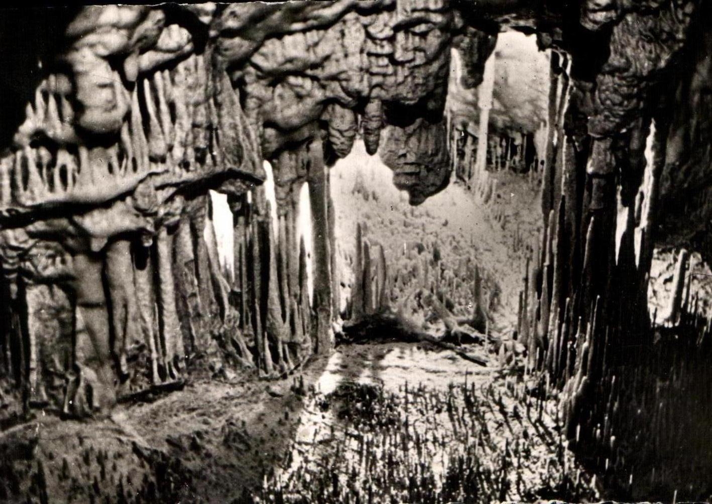Les Grottes de l'Observatoire — Jardin Exotique — Monaco