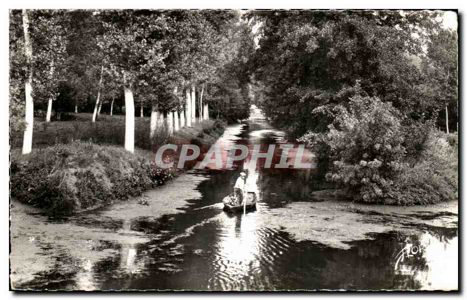 CPA la venise verte deux sevres sur la grande rigole dans le marais poitevin 