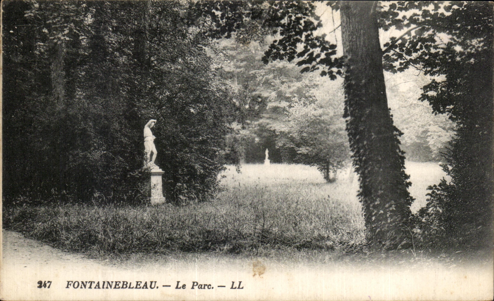 Fontainebleau — El Parque — LL — n° 347