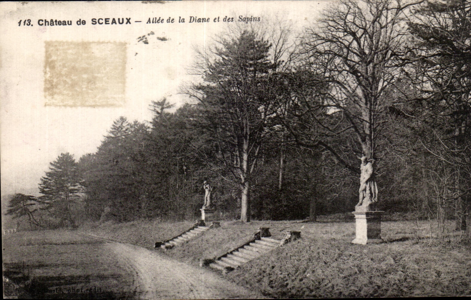 CPA Chateau De Sceaux Allee De La Diane Et Des Sapins