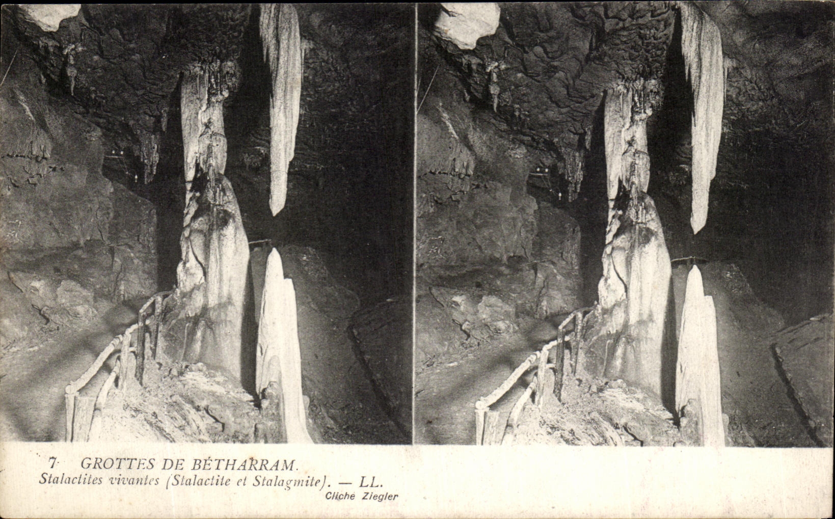 CPA Grottes De Betharram Stalactites vivantes