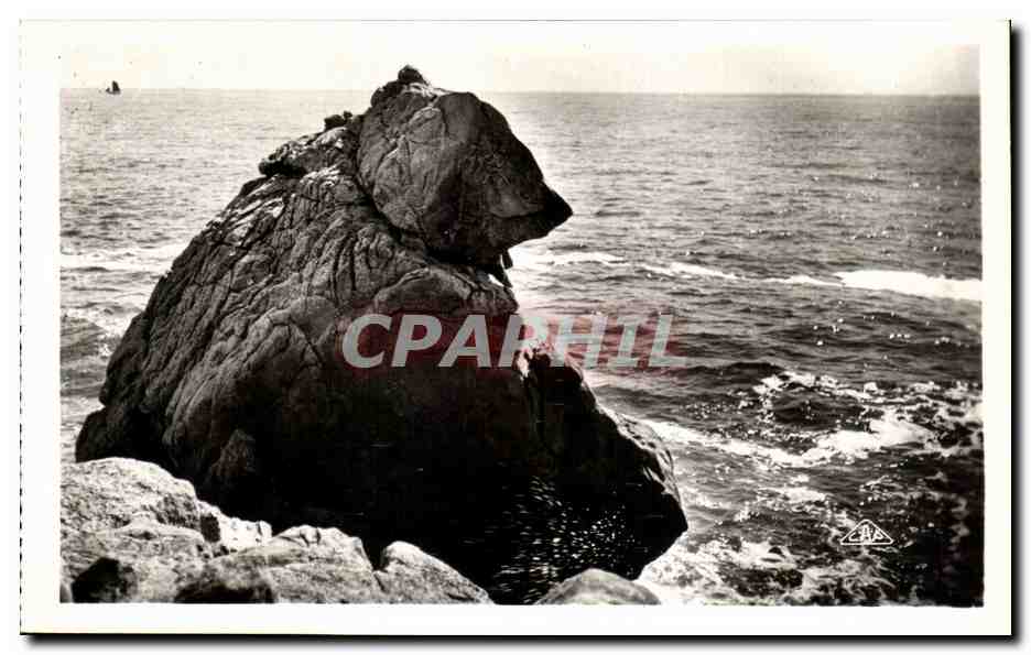CPA La Grande Cote Etude De Rochers L'Ours Polaire