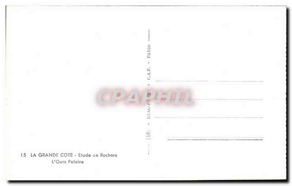 CPA La Grande Cote Etude De Rochers L'Ours Polaire — Rückseite