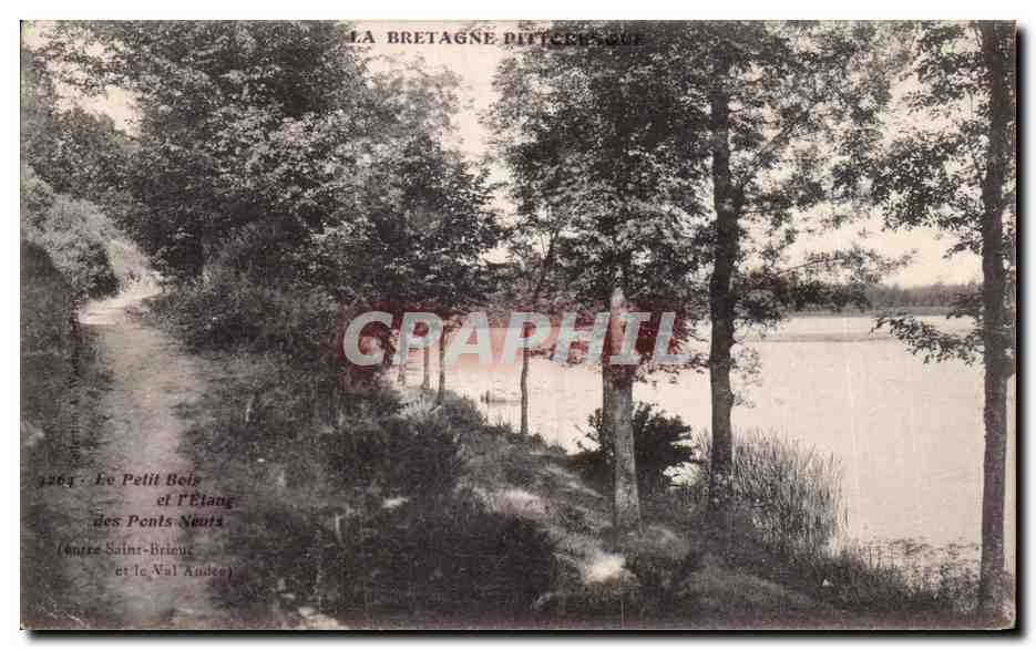 CPA La Bretagne Le petit bois et l'etang des ponts neufs