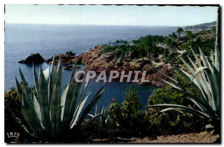 CPA Reflets De La Cote D'Azur La Corniche D'Or Rivages Mediterraneens