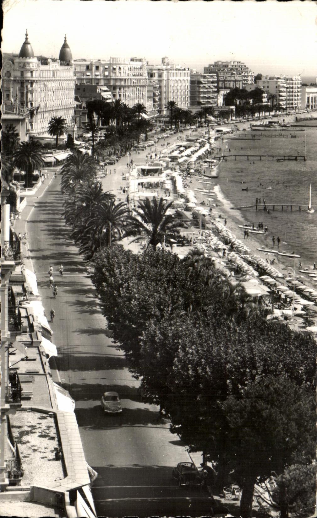 CPA La Cote D'Azur Cannes La Croisette