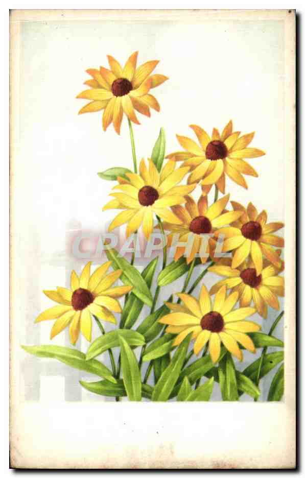 CPA Fantaisie Fleurs 